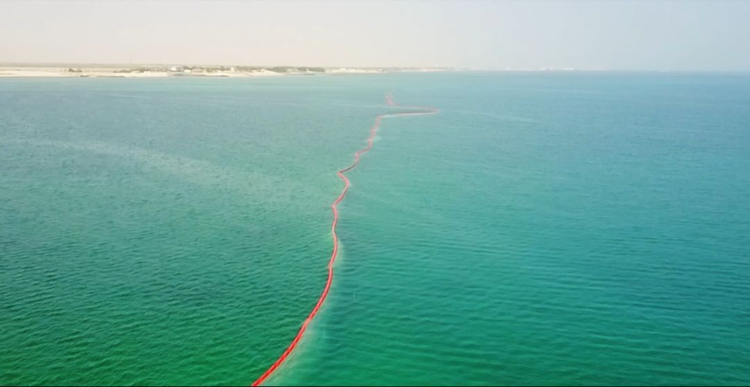 首页- 人生就是博中国官方网站