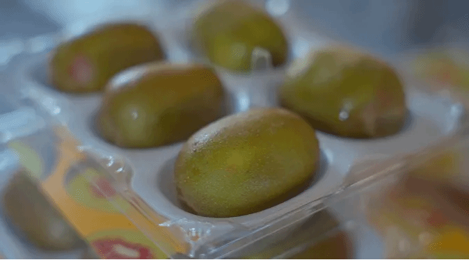 首页- 人生就是博中国官方网站