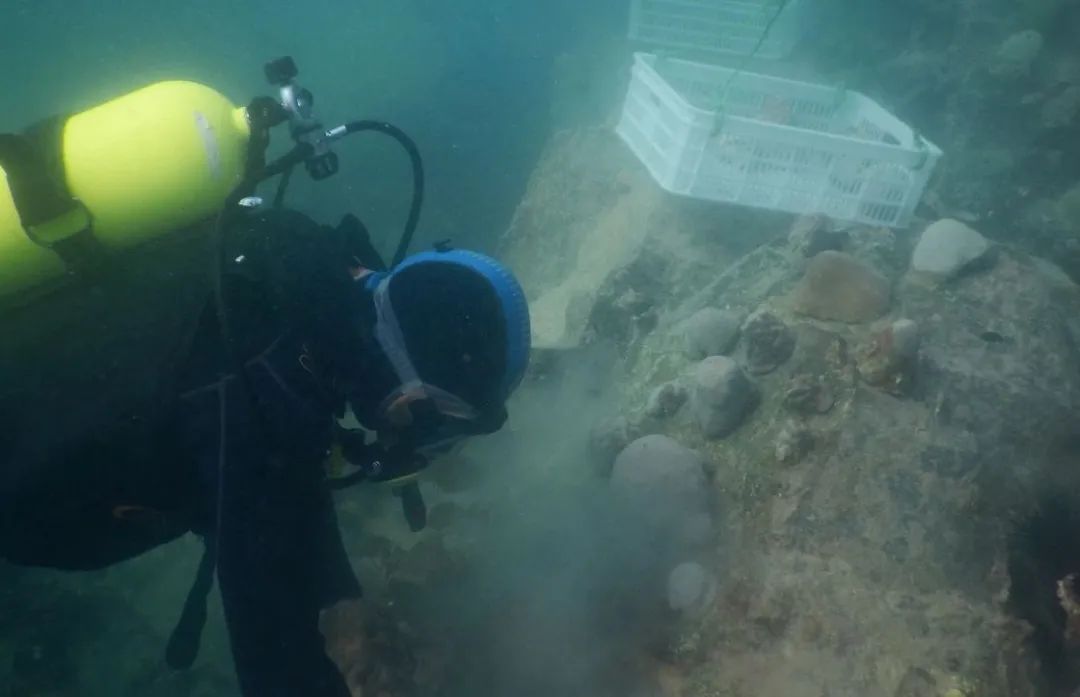 首页- 人生就是博中国官方网站