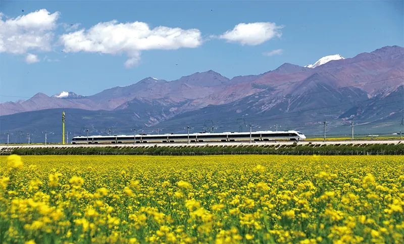 张玉卓、国资、央企、国资委、书记、主任、国企、企业鼎新