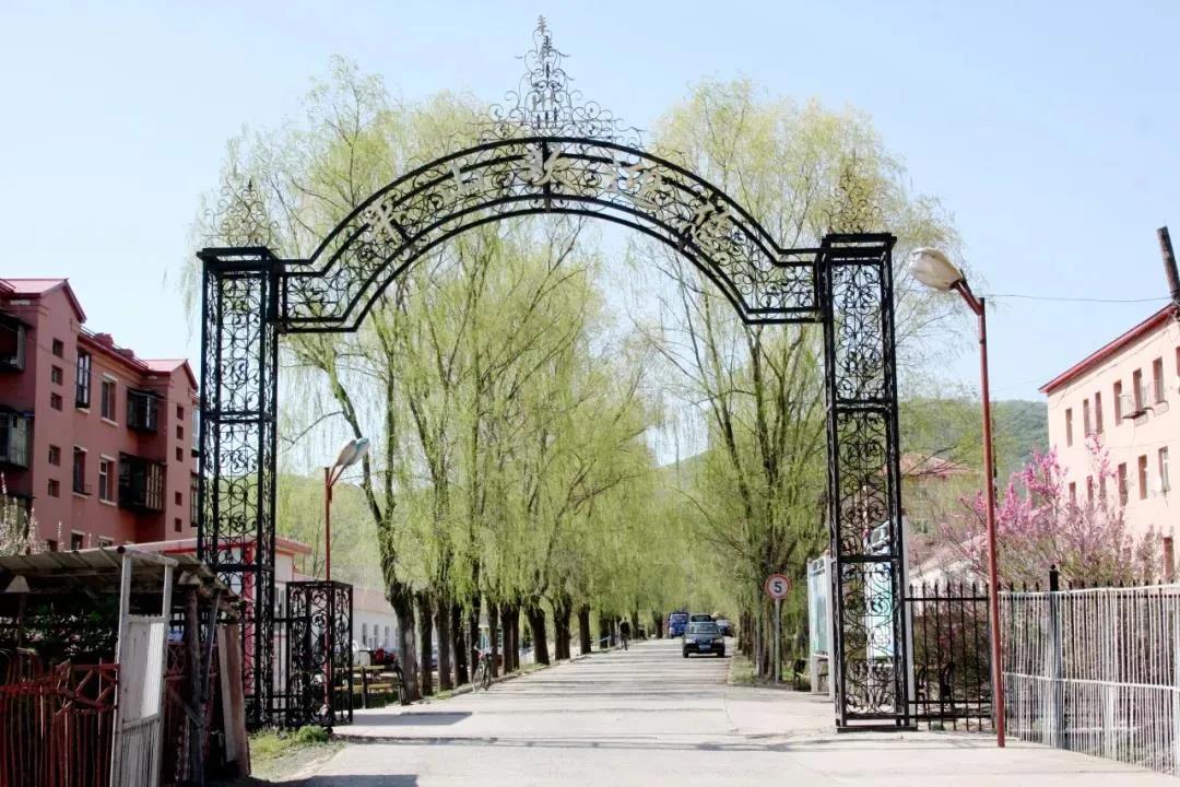 首页- 人生就是博中国官方网站