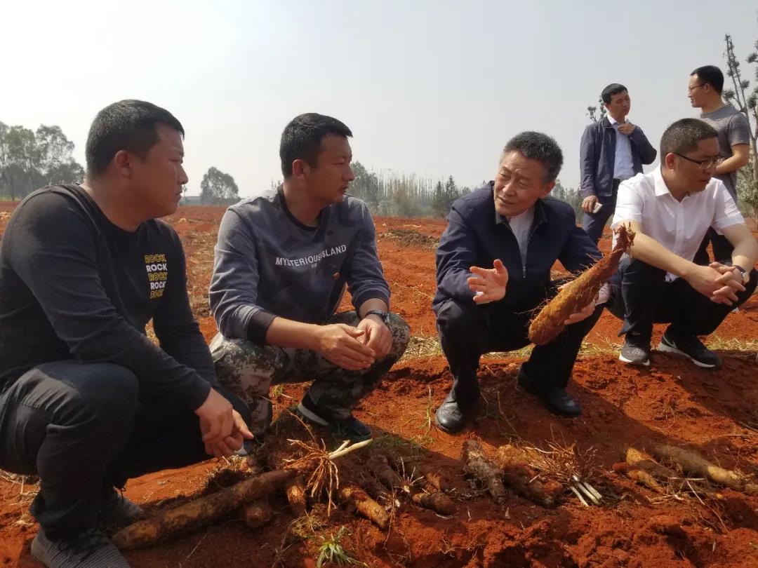 首页- 人生就是博中国官方网站